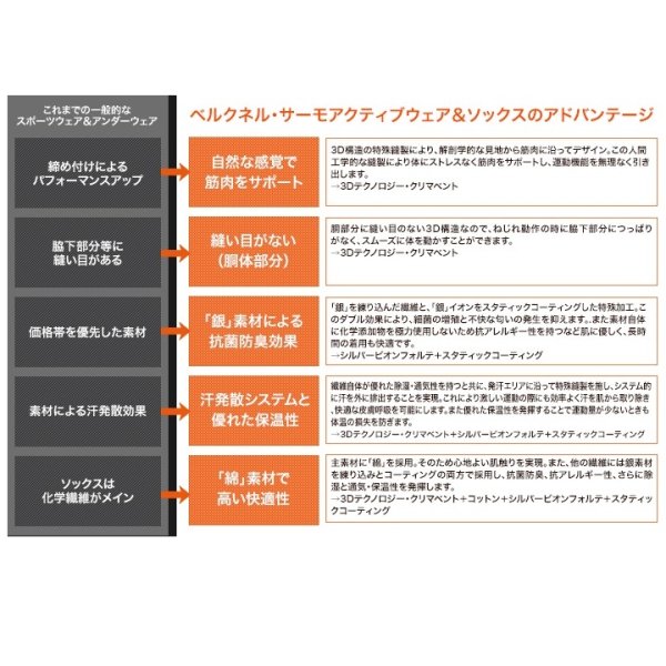 画像3: ベルクネル スキーソックス スキーアルペン ライト Berkner SKI ALPIN Light (3)