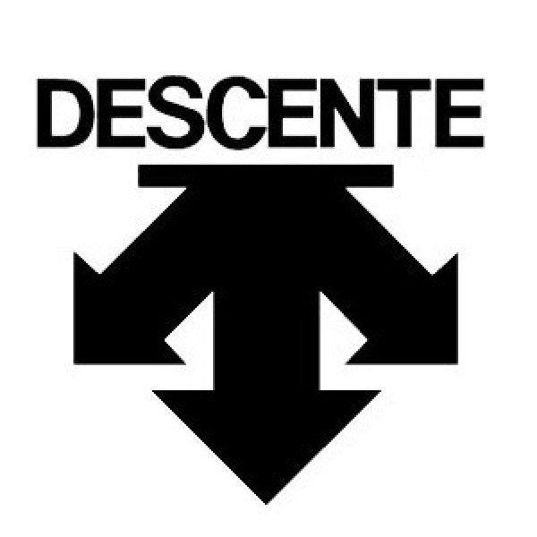 画像1: デサント 早期オーダー スキーウエア ご予約資料 データご送付 DESCENTE SKI (1)