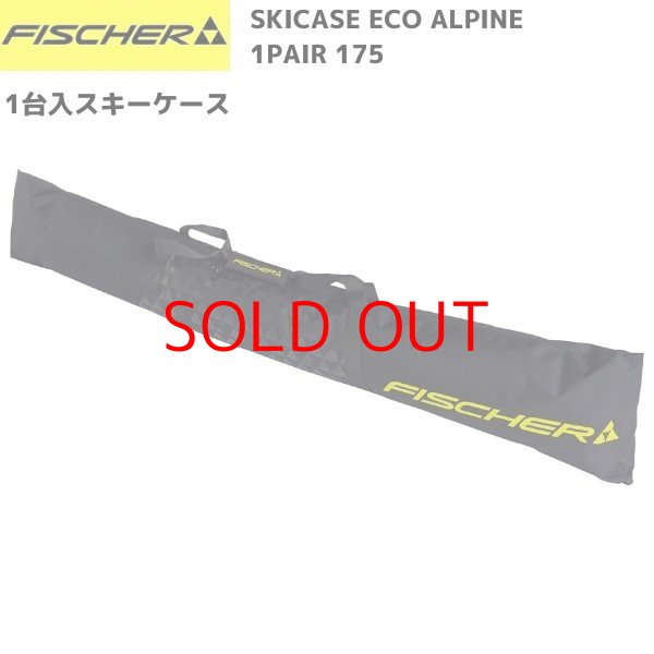 画像1: フィッシャー スキーケース 1台用 SKICASE ALPINE 1PAIR ECO  (1)