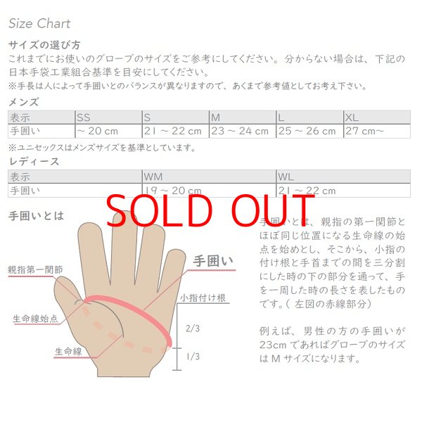 画像4: 松岡手袋 マツオカ スキーグローブ エルゴグリップ コルク 3本指 やぎ革 Sports Ride ERGOGRIP CORK (4)