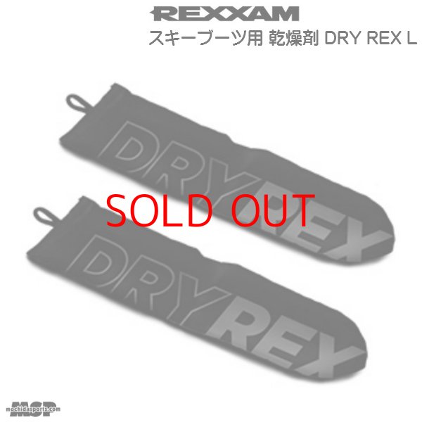 画像1: スキーブーツ用乾燥剤 REXXAM DRY REX L リフレッシング・キーパー (1)