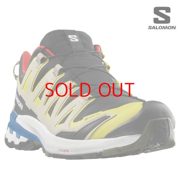 画像1: サロモン トレイルランニング シューズ ゴアテックス SALOMON XA PRO 3D V9 GORE-TEX (1)