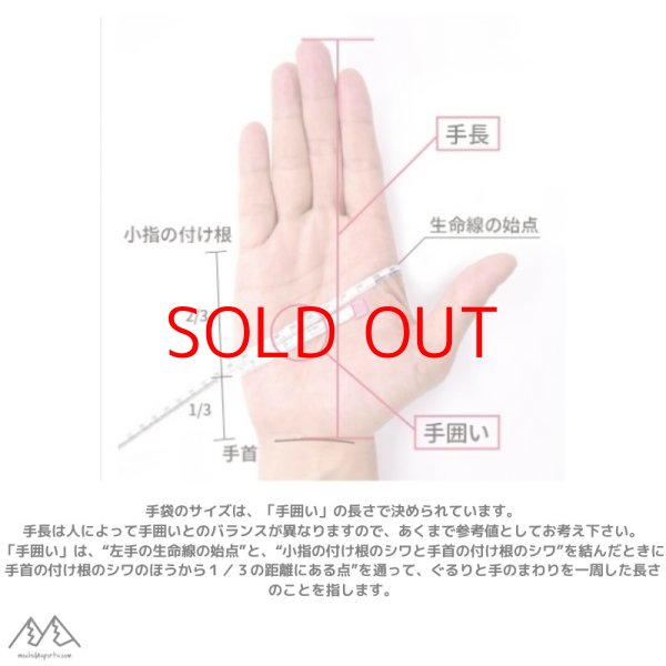 画像4: スワニー ゴアテックス スプリンググローブ スキーグローブ SWANY Spring Glove BK / SGL (4)