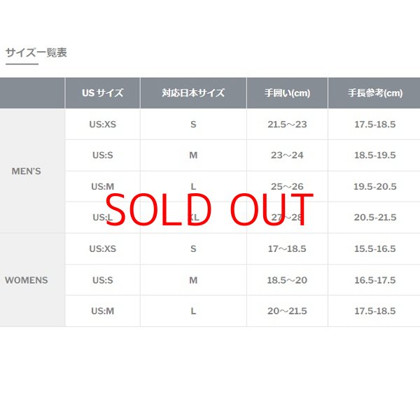 画像3: スワニー ゴアテックス スプリンググローブ スキーグローブ SWANY Spring Glove BK / SGL (3)