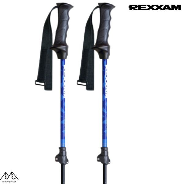 画像1: ご予約商品 レクザム サイズ調整式 スキーポール ストック ブルー 伸縮スキーポール REXXAM SKI POLE 90-120cm レグザム  (1)