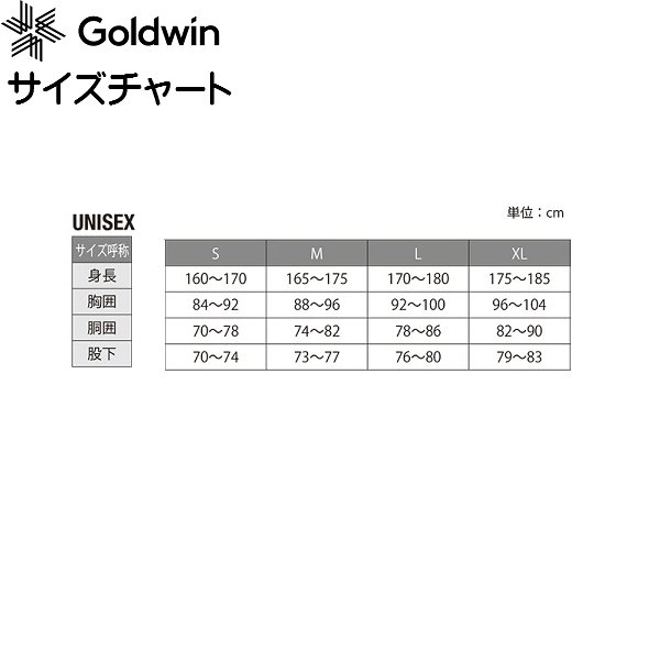 画像5: ゴールドウイン スキーウエア グレイッシュトープ ブラック Goldwin G-AXIS Jacket + G-AXIS Wide Pants GK (5)