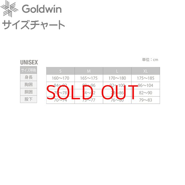 画像2: ゴールドウイン スキーパンツ ブラック Mサイズ Goldwin G-Engineered Regular Pants BK (2)