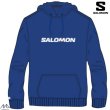 画像1: ご予約商品 SALOMON サロモン フーディー パーカー ブルー SAL LOGO PERF HOODIE M Surf The Web (1)