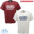 画像1: オガサカ ダブルステッチ Ｔシャツ 5.6オンス OGASAKA  (1)