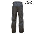 画像2: オークリー スキーパンツ スキーウエア インサレーションパンツ スノーボード グレー OAKLEY BEST CEDAR RC INSULATED PANT FORGED IRON (2)