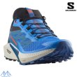 画像3: サロモン トレイルランニング トレラン シューズ ブルー SALOMON SENSE RIDE 5 French Blue / Black / Dark Blue (3)